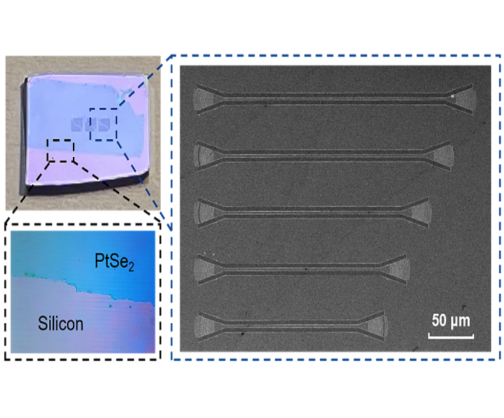 PtSe2-on-silicon hybrid waveguide device