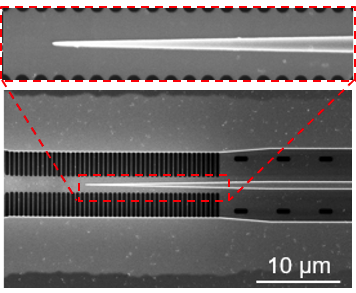 Suspended nanomembrane silicon (SNS) waveguide convertor