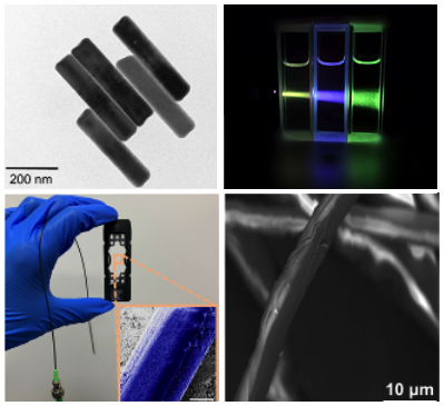 Molecular sensors based on nanoparticles, microfibers and silks