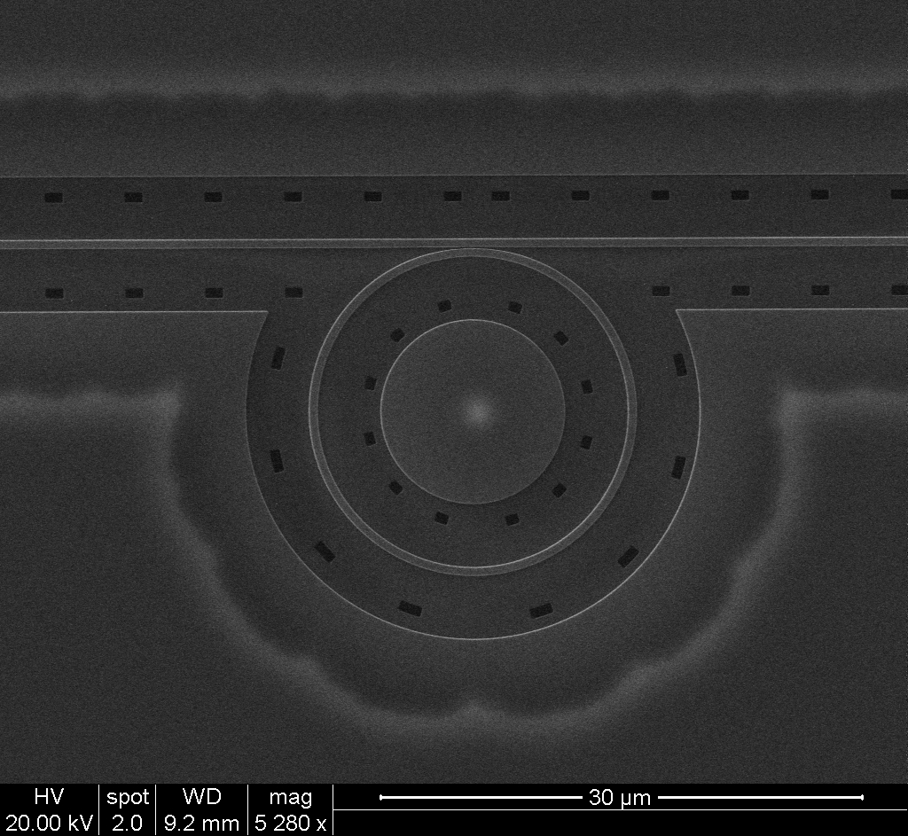 Si suspended membrane micro-ring resonator