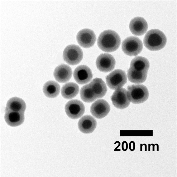 Synthesized core-shell-structured nanoparticles