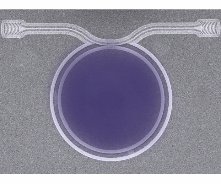 悬空纳米薄膜硅基波导微盘谐振腔