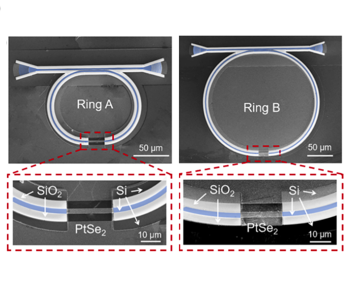 二硒化铂-硅基异质集成波导微环谐振腔