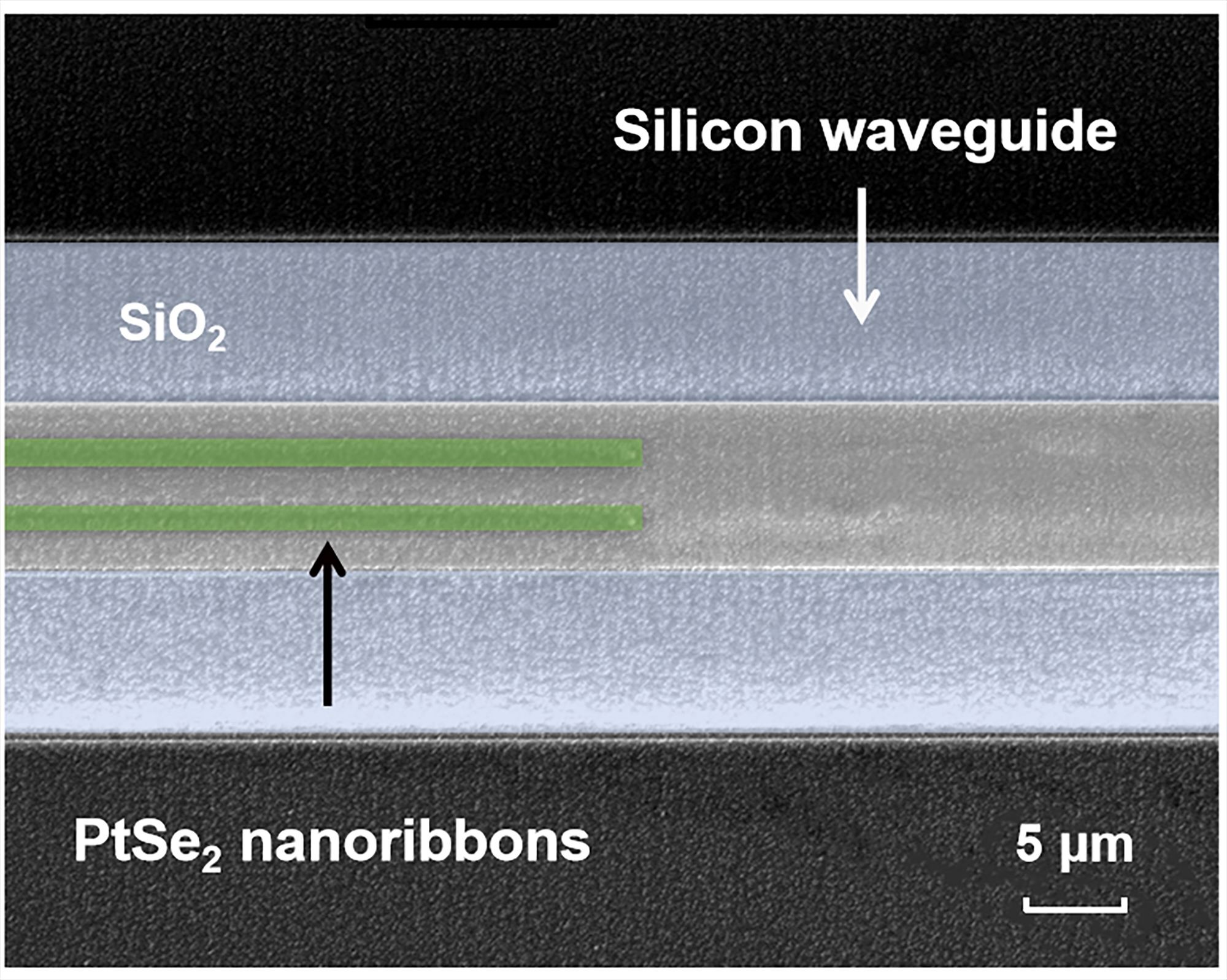 二硒化铂-硅基异质集成波导模式滤波器件